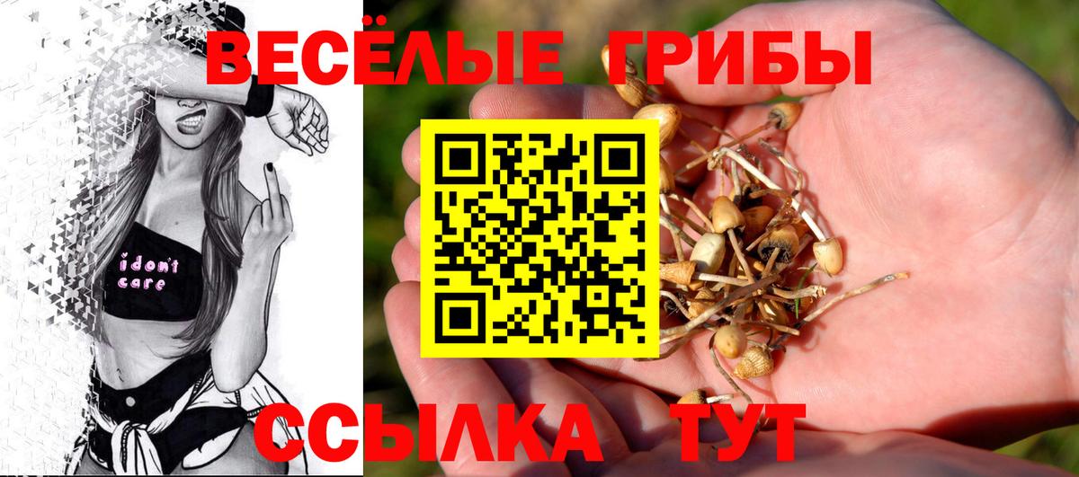 Галлюциногенные грибы Psilocybine cubensis Ачинск